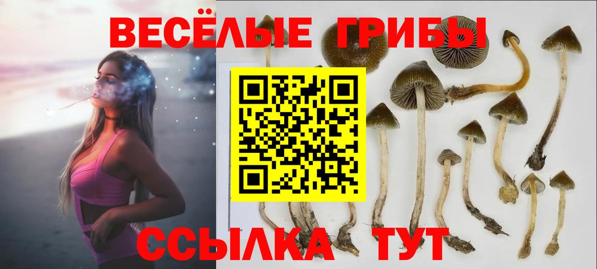 Псилоцибиновые грибы ЛСД  Галлюциногенные грибы мицелий  Прохладный  Вход с VPN 